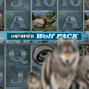 В демо-версии гэмблер может поиграть в азартный видеослот Untamed Wolf Pack без регистрации онлайн без скачивания без смс бесплатно