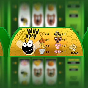В демо геймер может играть в эмулятор игрового аппарата Wild Honey онлайн без смс без скачивания бесплатно без регистрации